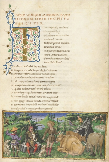 Ricc492